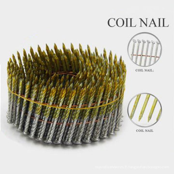 Factory Supply Roofing Nail Factory de Chine
